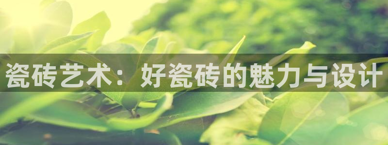 b体育必一运动网页版在线登录入口