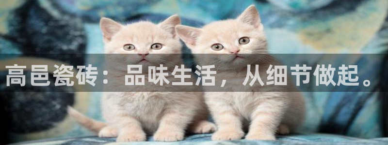 必一体育电子app