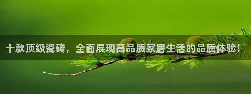 必一体育官网app