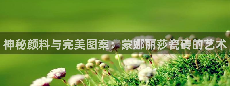 必一体育服下载最新版本更新内容