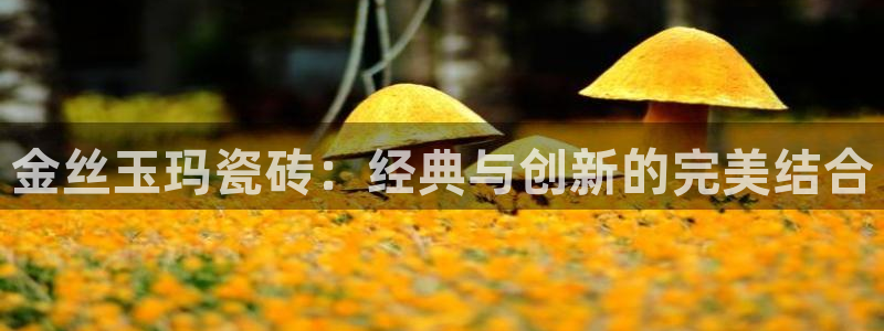 必一运动aop
