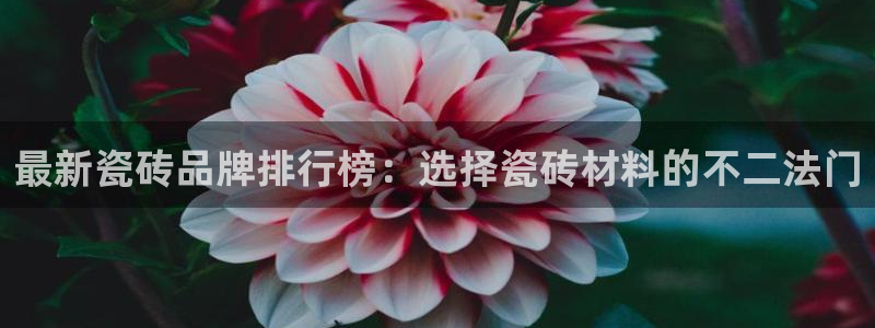 必一体育在线登录