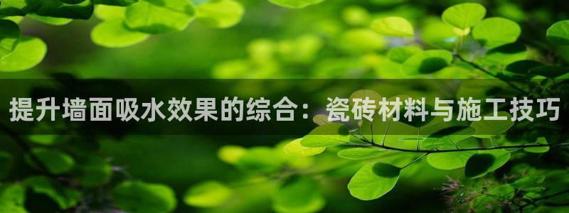 必一体育运动平台官网