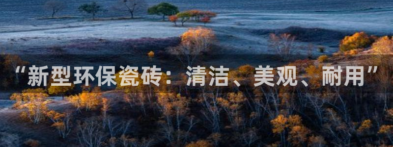 必一体育网页登陆