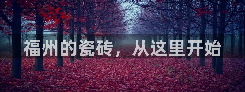 必一体育游戏特色