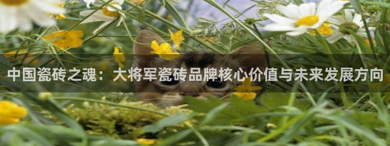 必一运动sport爱查股