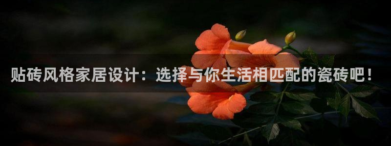 必一运动sport网页版