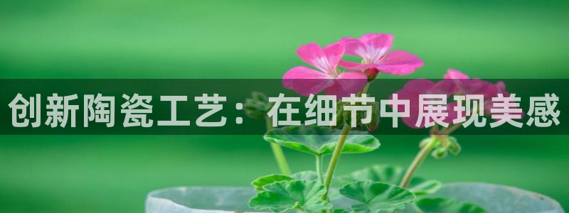 必一运动 b 体育素描版