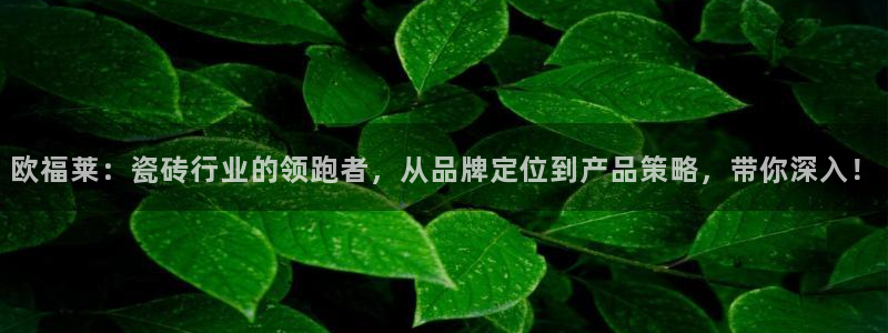 必一体育最新官网入口首页