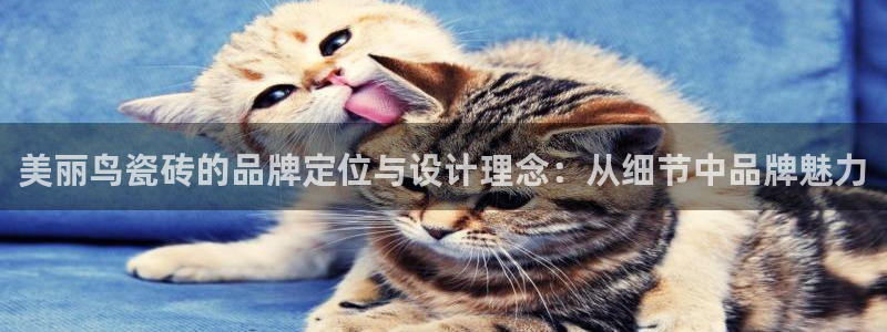 必一体育官方入口