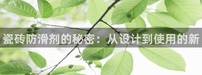 必一体育运动平台官网
