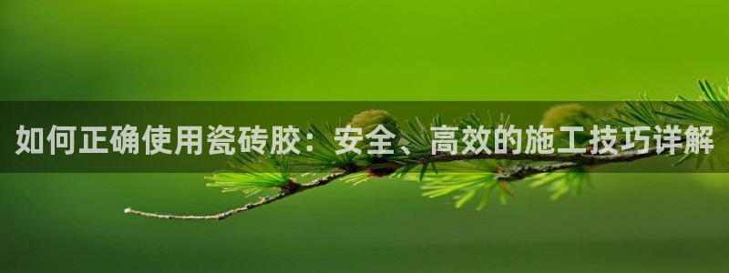 必一体育合法吗