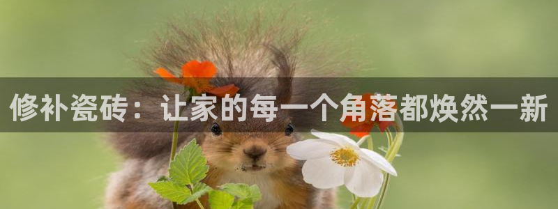 必一运动 b 体育素描版