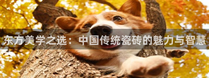 必一体育app官方正版下载