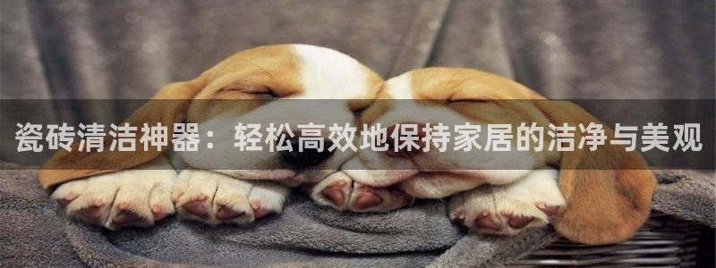 必一运动·(B-sports)