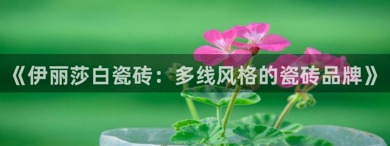 必一体育游戏特色