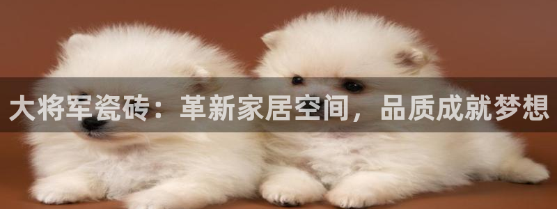 必一体育app平台下载