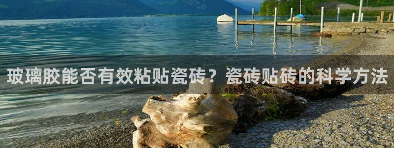 必一体育网站