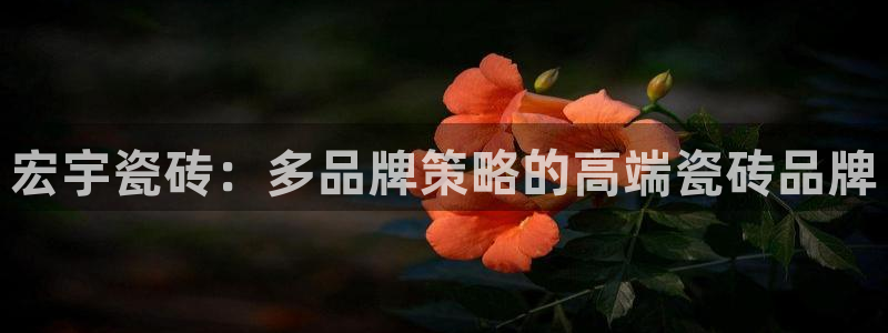 必一体育在线登陆