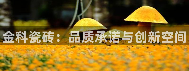 必一体育在线下载