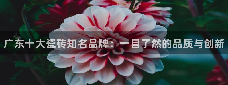 必一体育下载意思