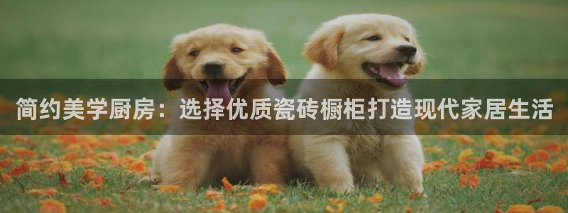 必一体育app下载安装