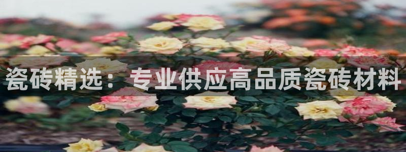 必一体育在线官网