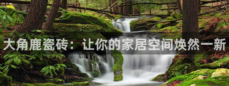 必一体育最新官网入口首页