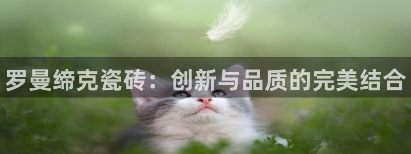 必一体育运动下载