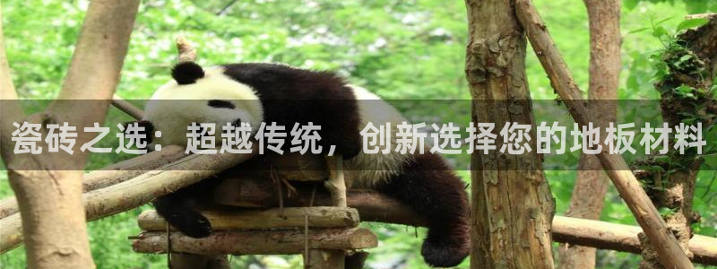 必一体育app官方下载入口