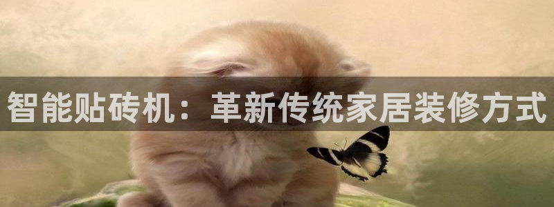 必一运动体育官网下载