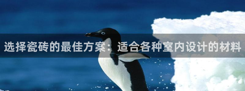 必一体育APP下载安装