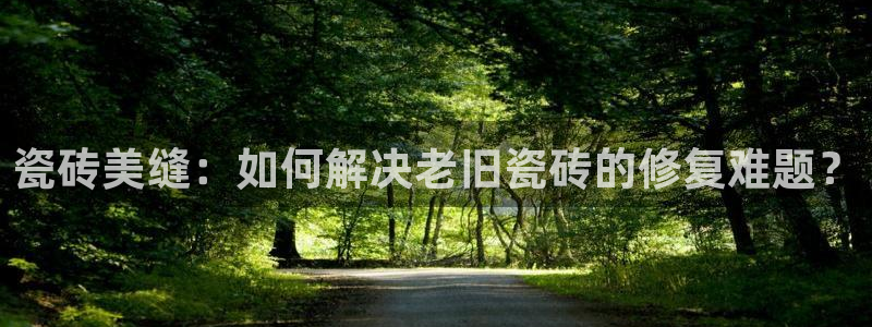 b体育必一下载