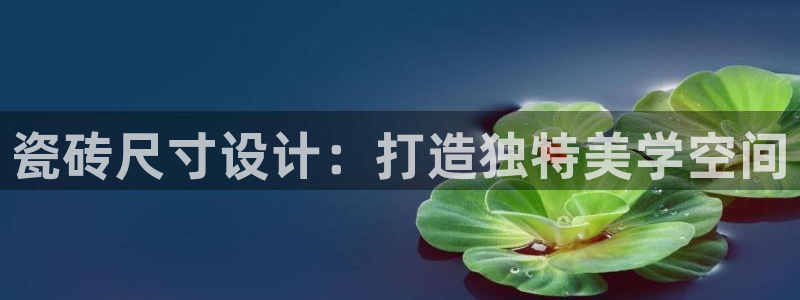 必一体育sportB体育