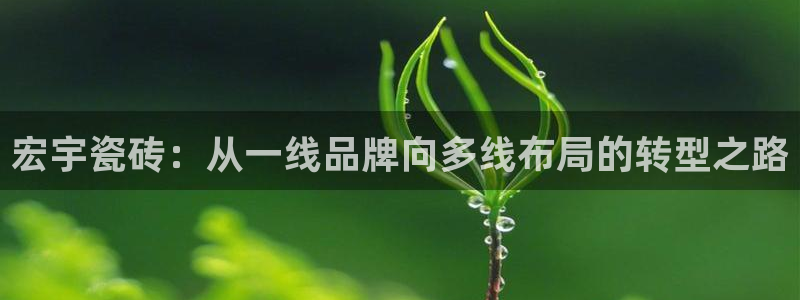 必一运动·(B-Sports)土豆