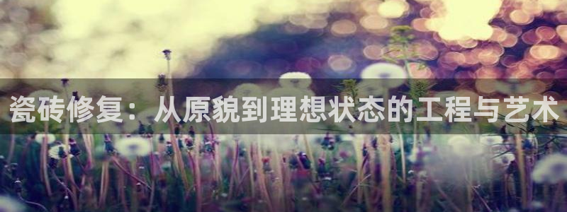 必一体育游戏玩法