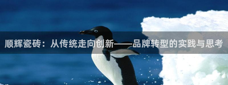 必一体育官网ios下载