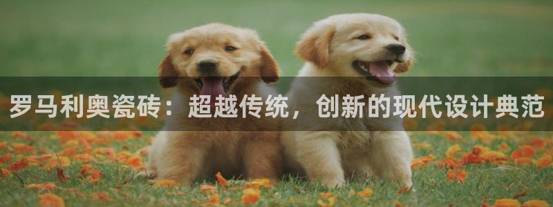 必一体育黑平台