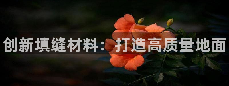 b体育官网下载入口app必一