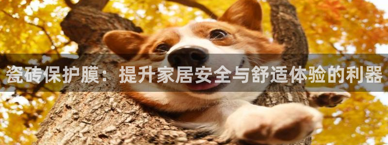 必一运动tieba.baidu.com