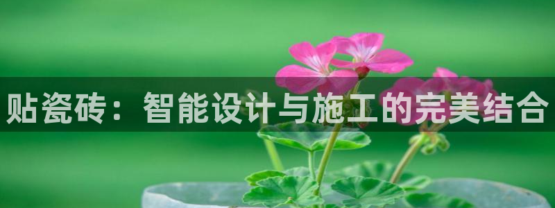 必一体育黑平台