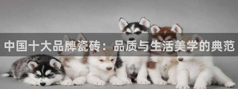 必一体育最新官网入口首页