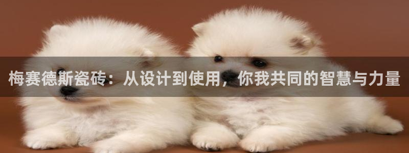 必一体育bsport2023-04-21