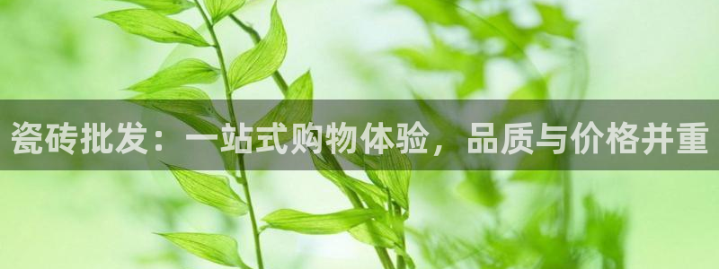 必一体育全站在线登录入口