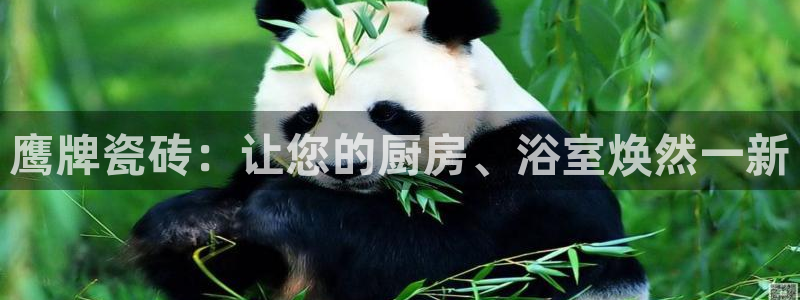 必一运动·(B-sports)