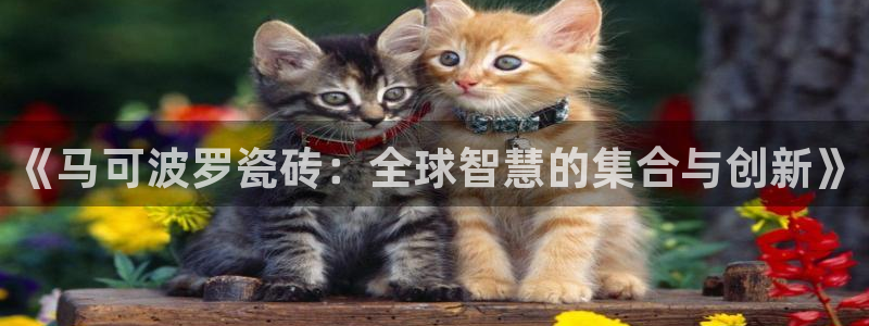 必一体育bsport下载