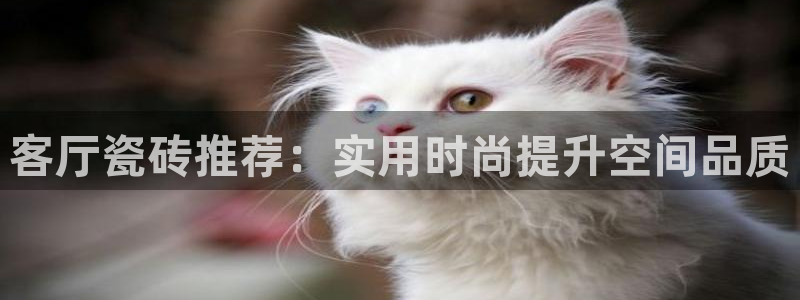 必一体育下载移动版