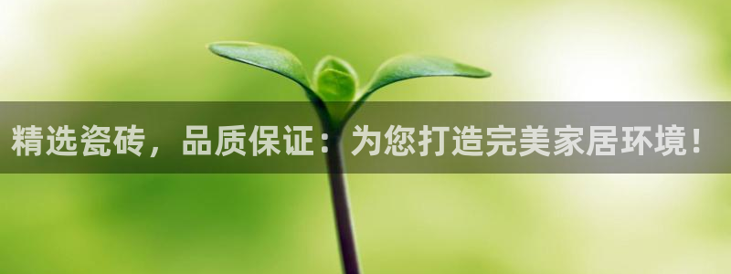 必一体育运动下载