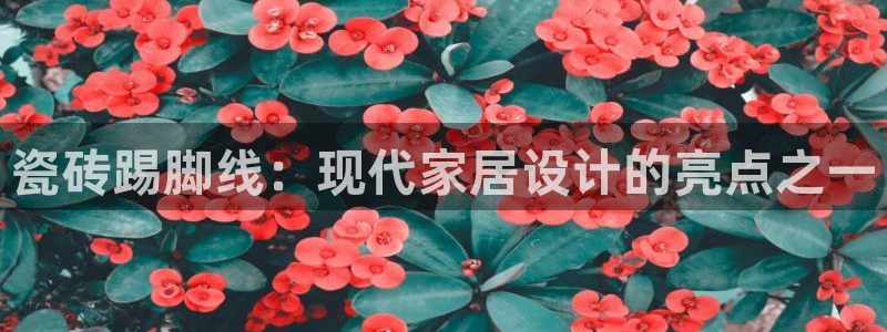 必一运动验证码