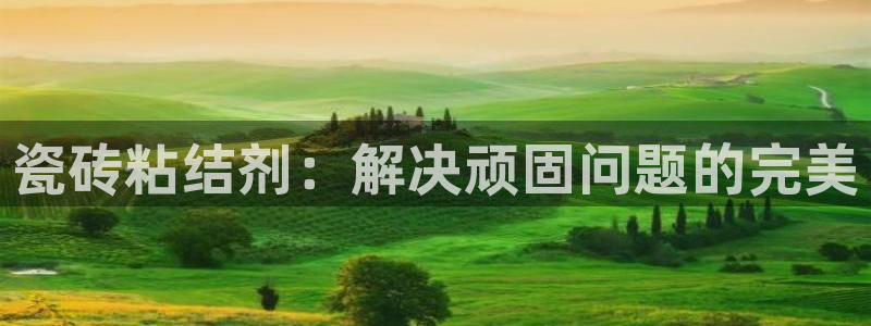 必一体育运动下载